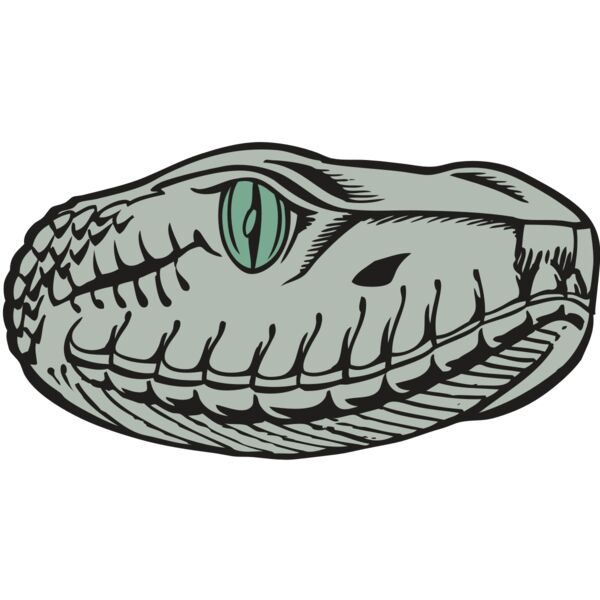 BAW SNAKE 10 RC Thumbnail